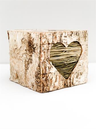 Cubo corteccia cuore verde