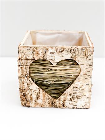 Cubo corteccia cuore verde