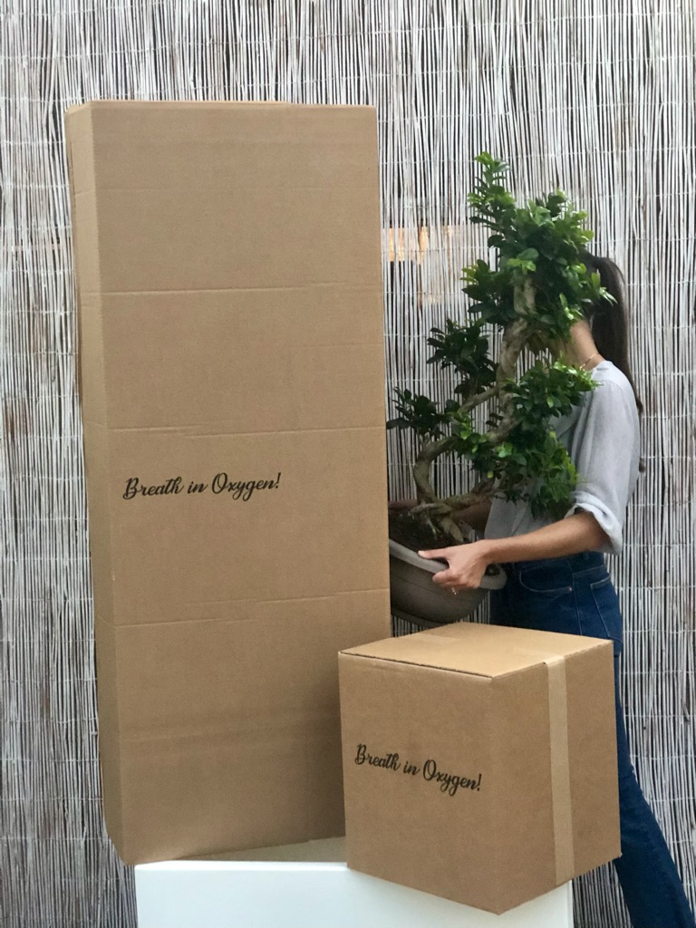 packaging-green